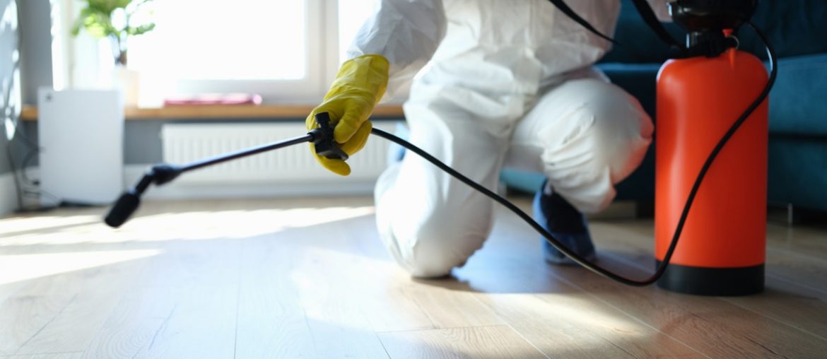 احسن شركة مكافحة الرمة في عجمان