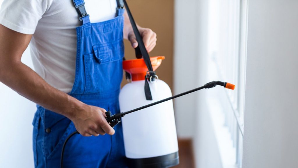 شركة مكافحة النمل الأبيض في الفجيرة