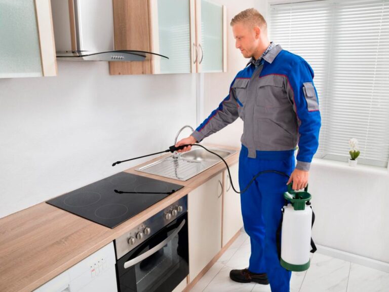 احسن شركة مكافحة الرمة في ام القيوين