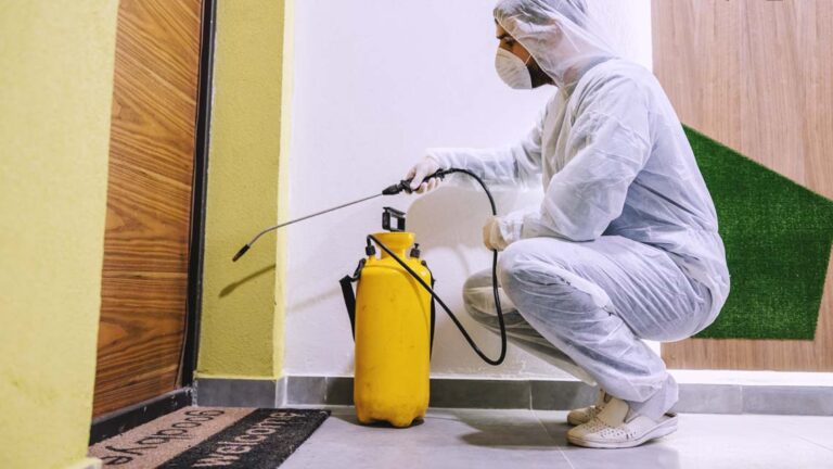 مكافحة الرمة